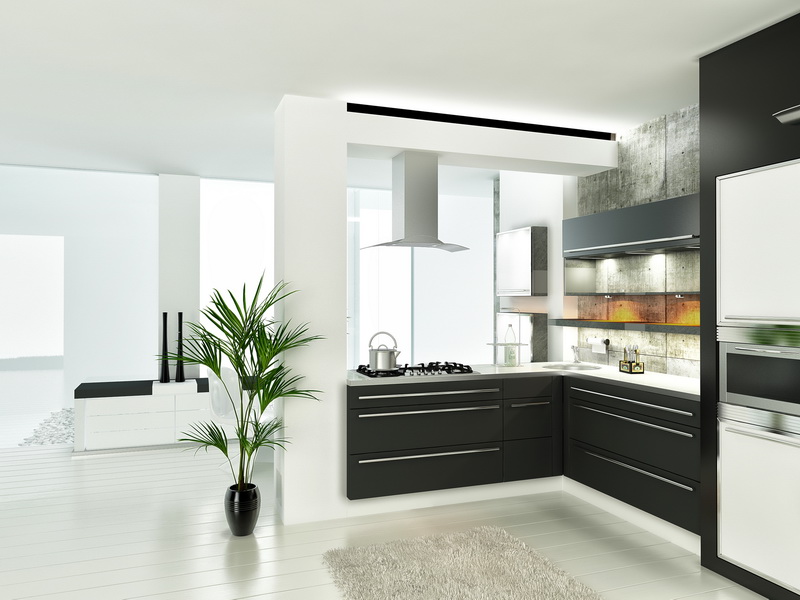 черно-белая кухня фото