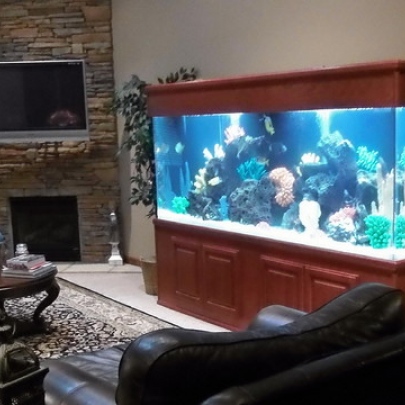 аквариум в интерьере гостинной фото аквариум в интерьере гостинной фото
