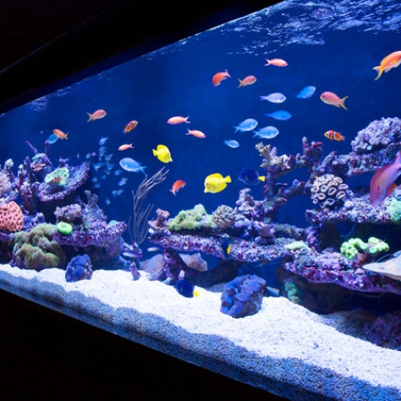 Гостиной2134136213