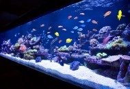 Гостиной2134136213