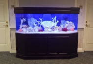 Гостиной2114074126