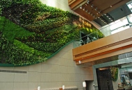 Дизайн офисов и гостиниц983969311