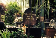 Дизайн ресторанов, кафе706525390